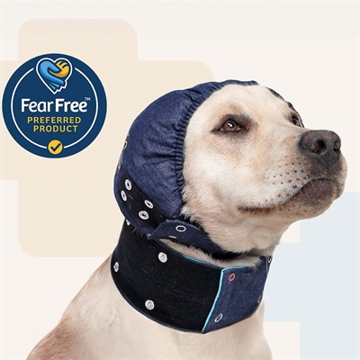 Hoved beskyttelse til hund